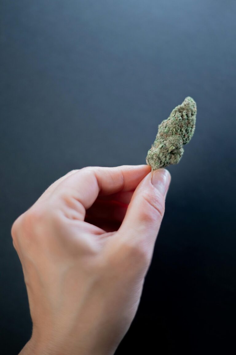 hemp flower