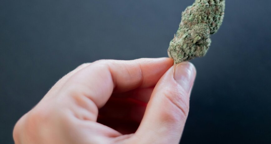 hemp flower