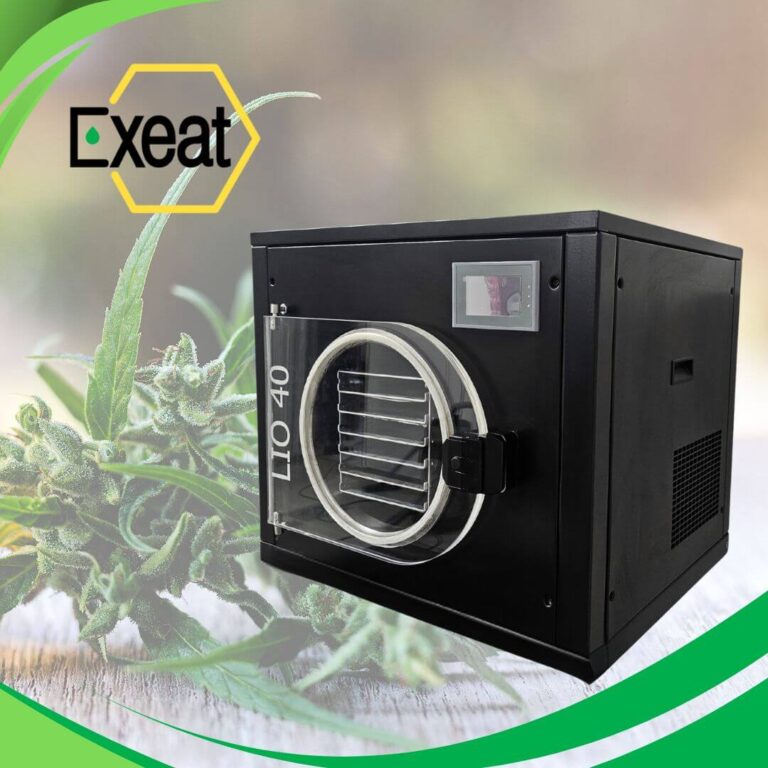 cannabis freeze dryer