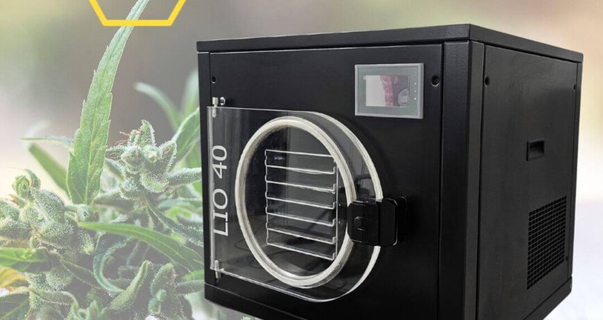 cannabis freeze dryer