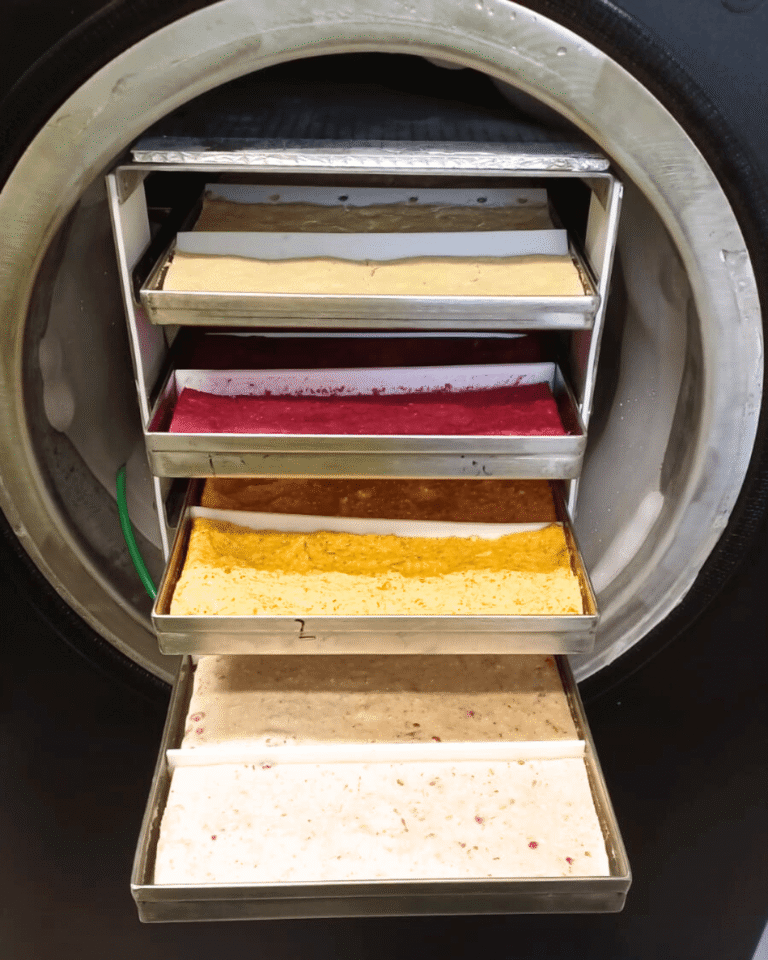 freeze dried baby food