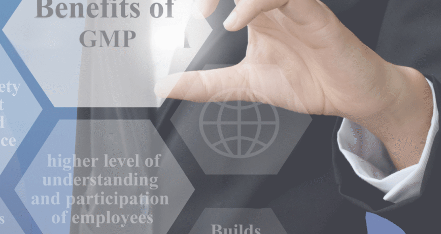 gmp production