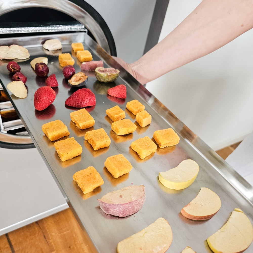 Professional freeze dryers engineered for precise drying, maximum nutrient preservation, and scalable production — from home use to industrial applications.