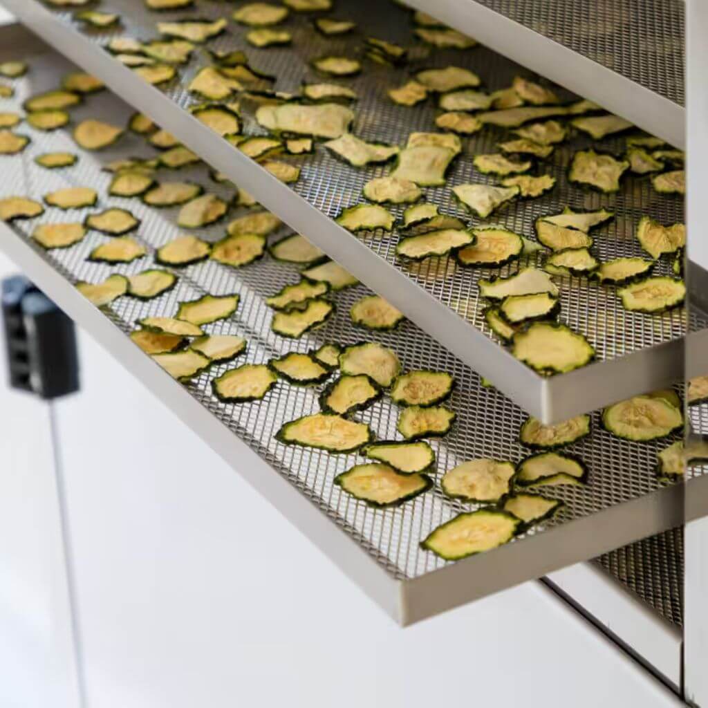 B.MASTER PLUS professional dehydrator